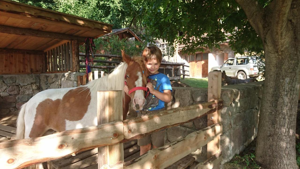 Hotel Hubertusstube Laion Dış mekan fotoğraf